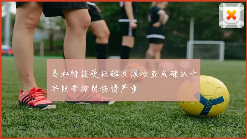 乌加特接受核磁共振检查或确认十字韧带撕裂伤情严重